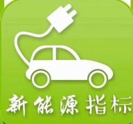 <b>到底是租用新能源车牌指标还是燃油车</b>